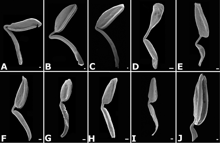 Figure 49.