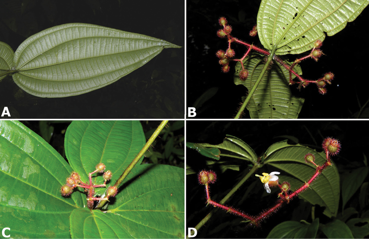 Figure 135.