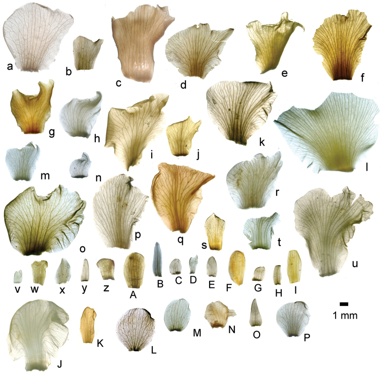 Figure 44.
