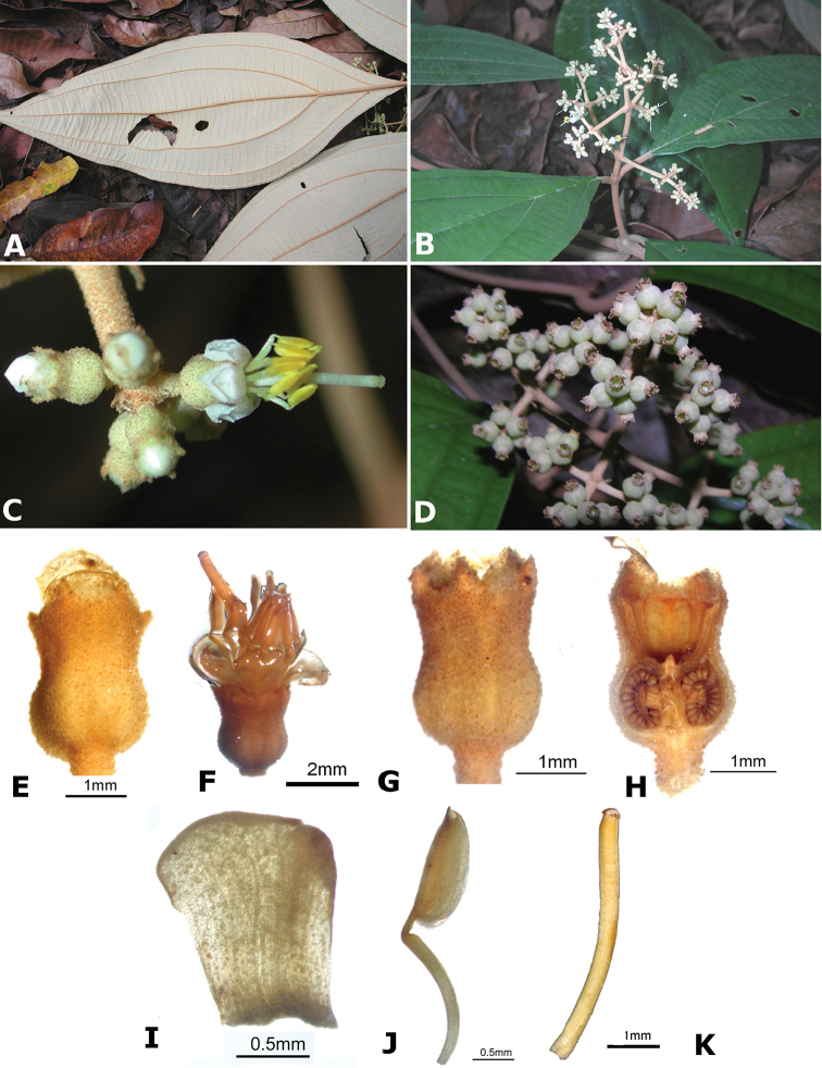 Figure 151.