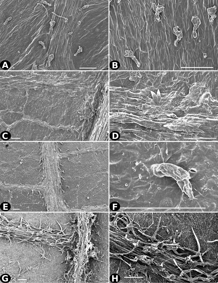 Figure 21.