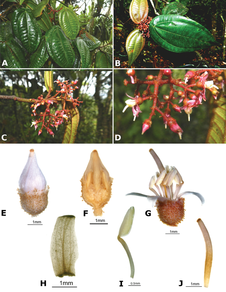 Figure 182.