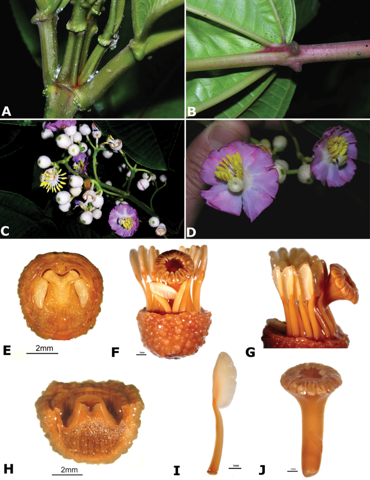 Figure 67.