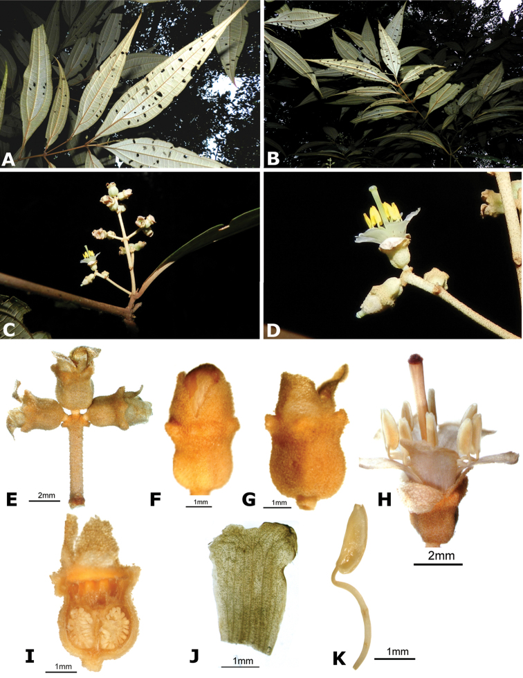Figure 141.