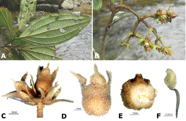 Figure 145.