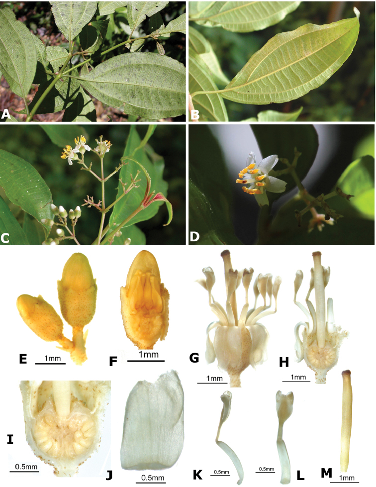 Figure 137.