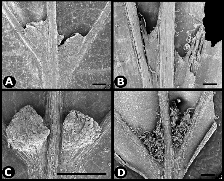 Figure 18.