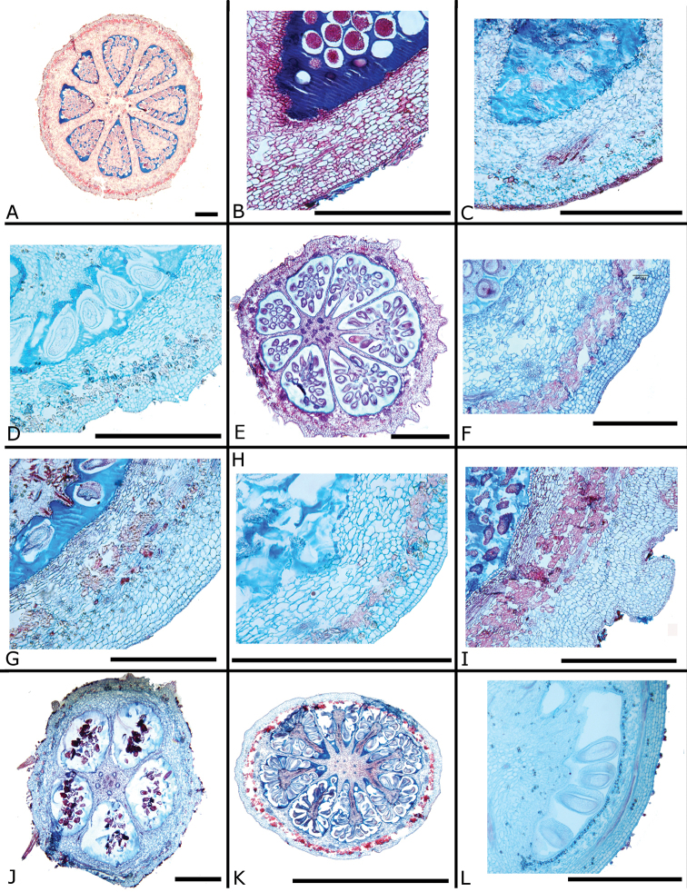 Figure 36.