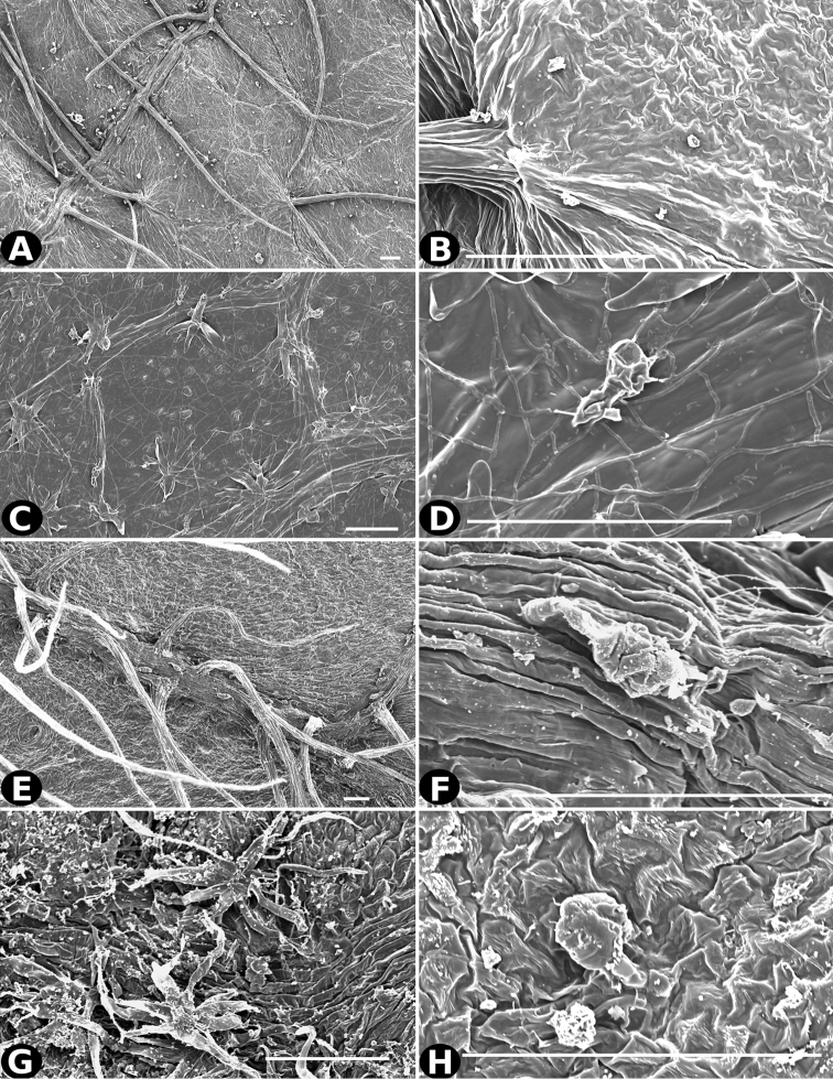 Figure 20.