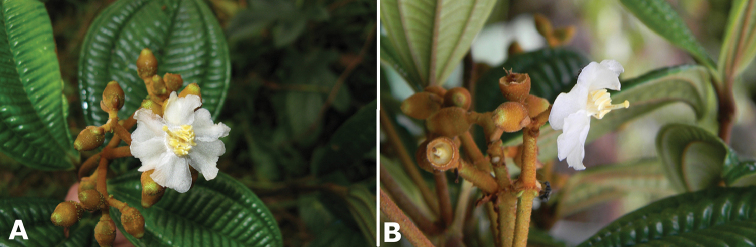 Figure 131.