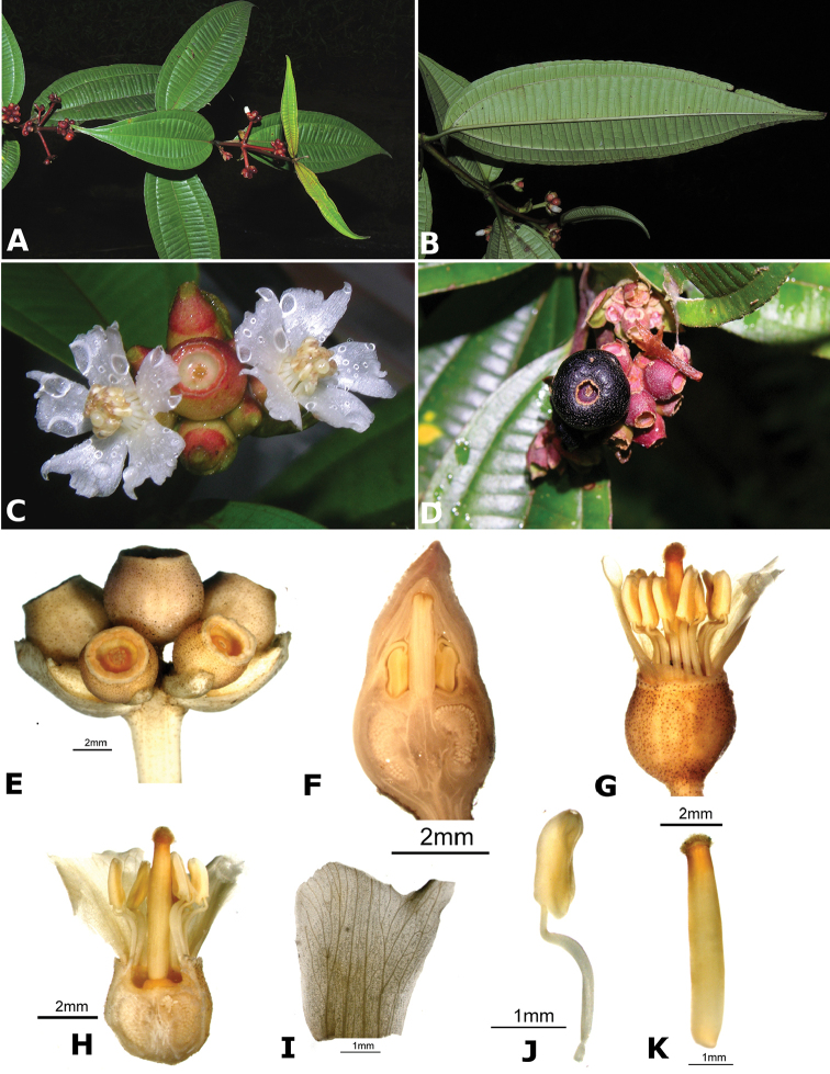Figure 125.