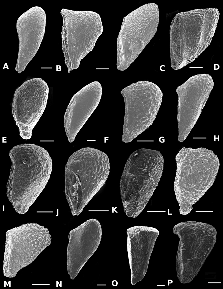 Figure 61.
