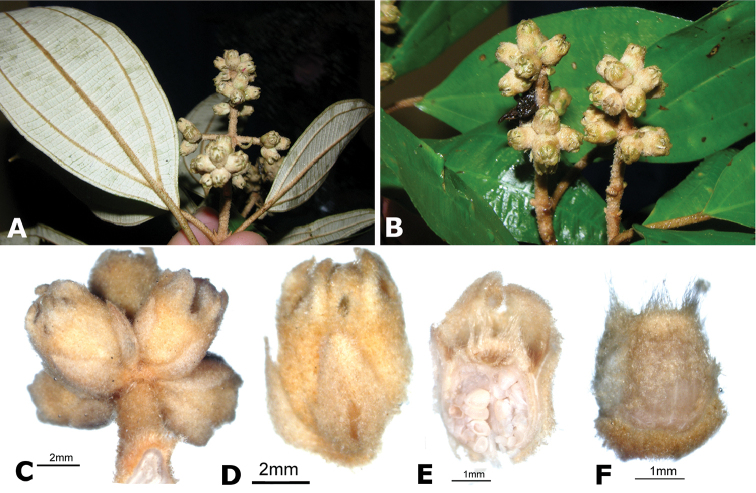 Figure 174.