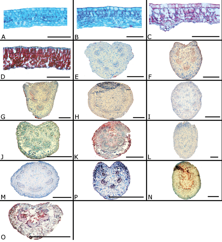 Figure 16.
