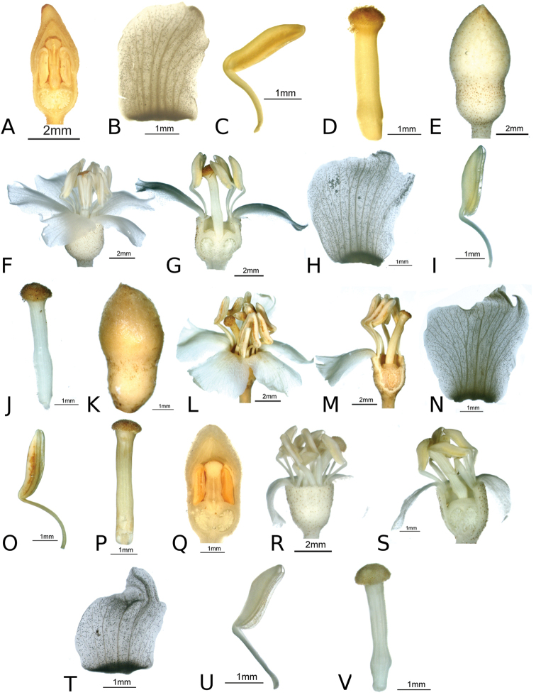 Figure 91.
