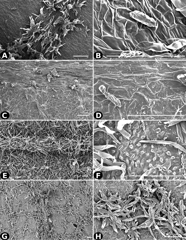 Figure 24.