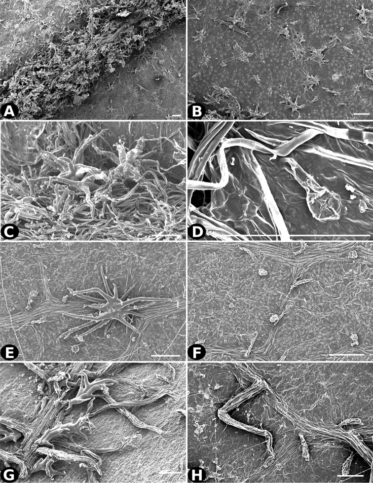 Figure 26.