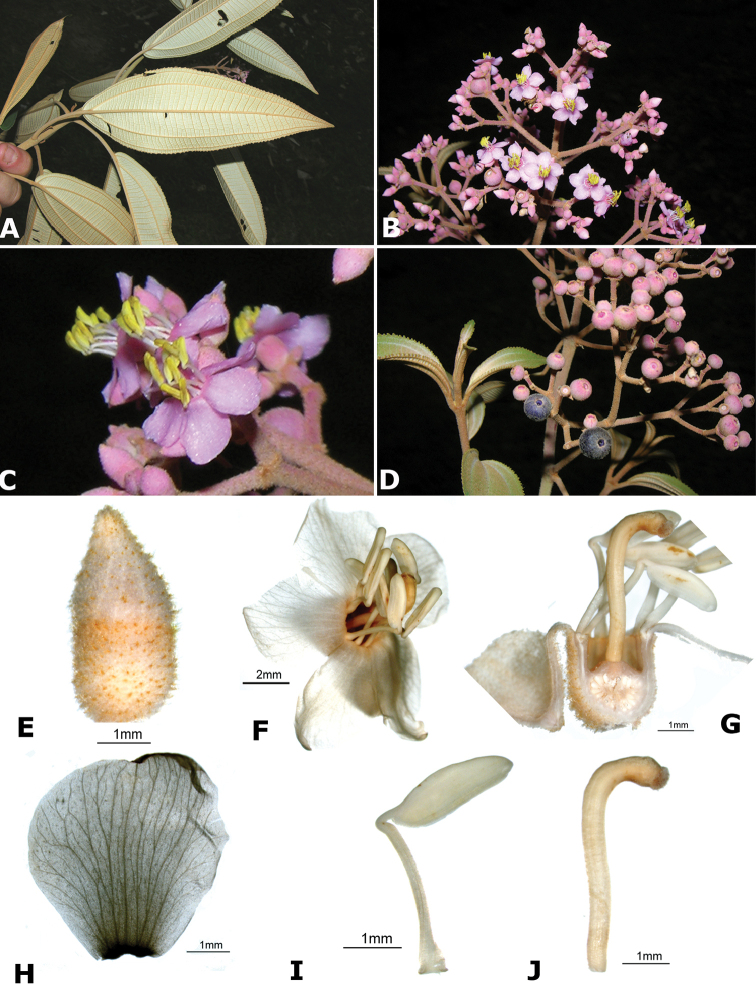 Figure 200.