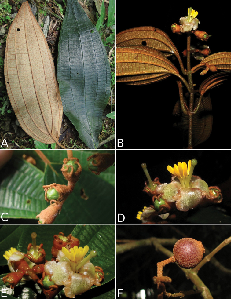 Figure 169.