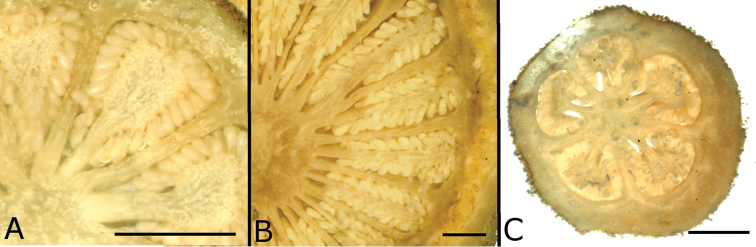 Figure 54.