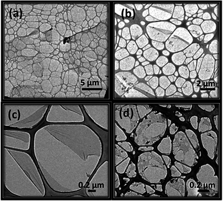 Fig. 10