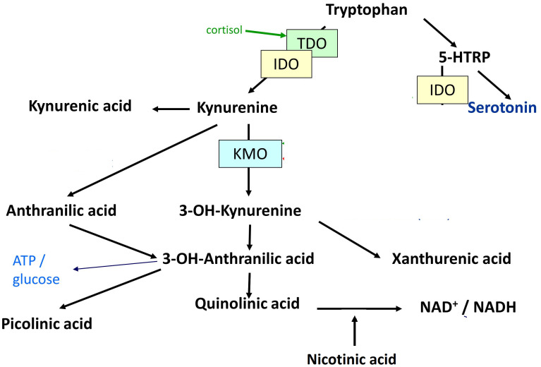 Figure 1