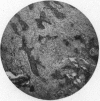 160-1