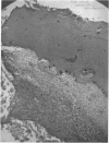 160-3