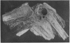 168-3