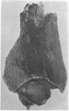 168-3