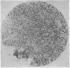 168-5
