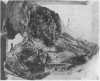 168-4