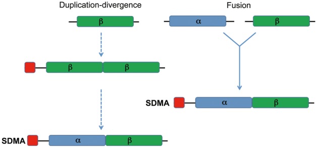 Fig. 7.—