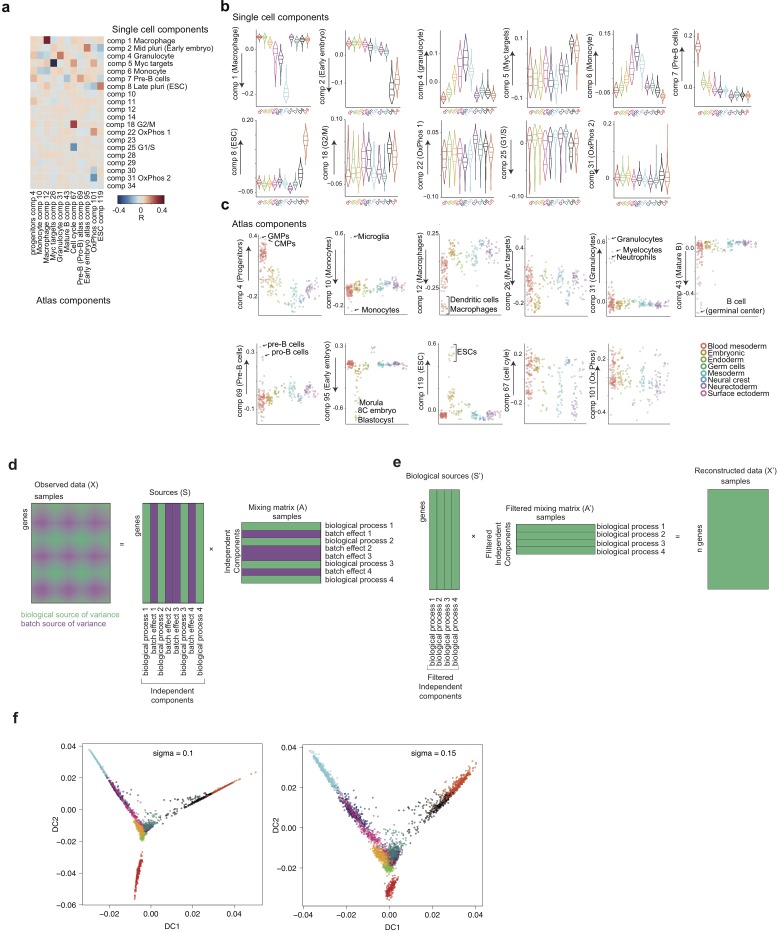 Figure 1—figure supplement 2.