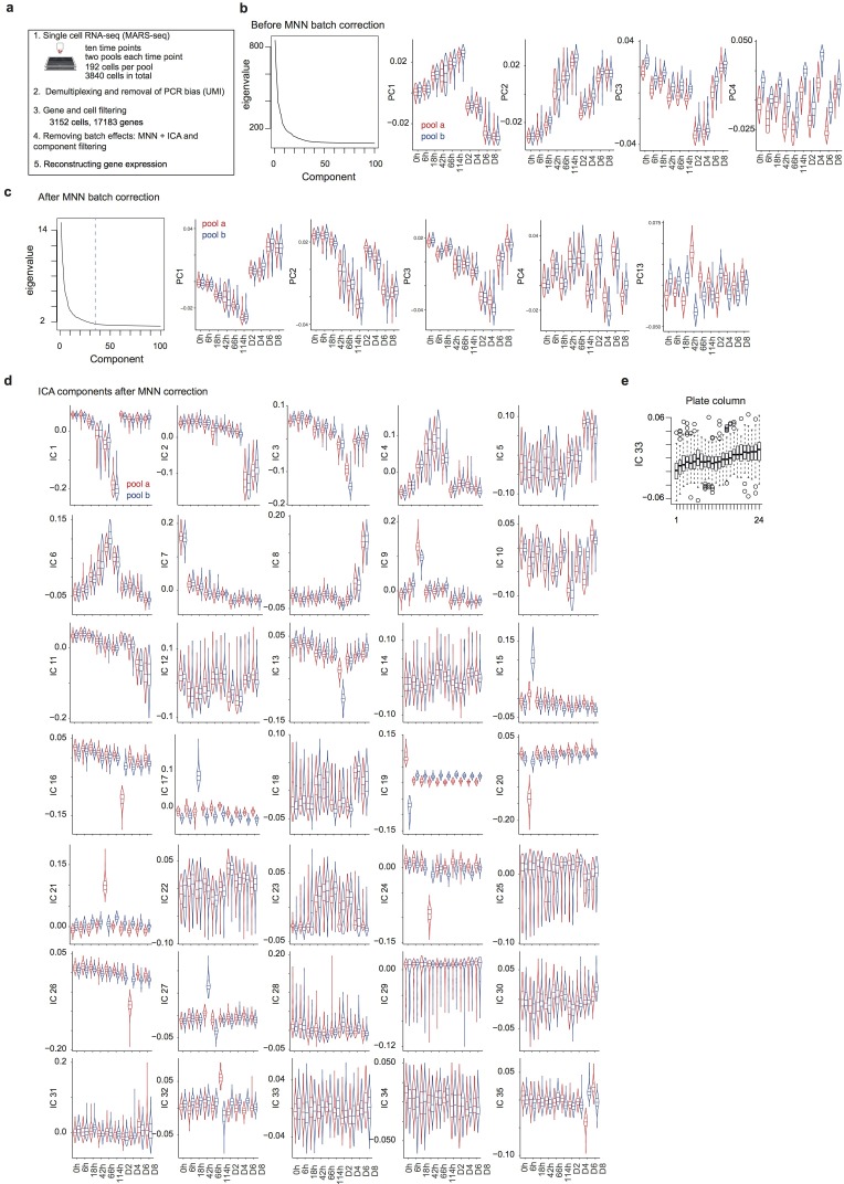 Figure 1—figure supplement 1.