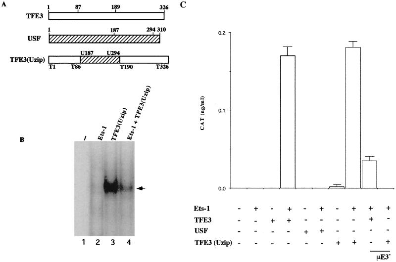 FIG. 5