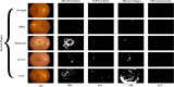 Fig 4
