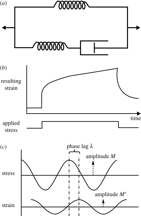 Figure 1.