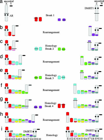 Fig. 6.