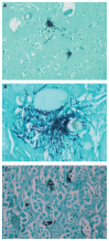 FIGURE 3
