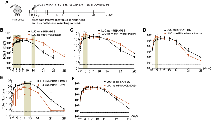 Figure 4