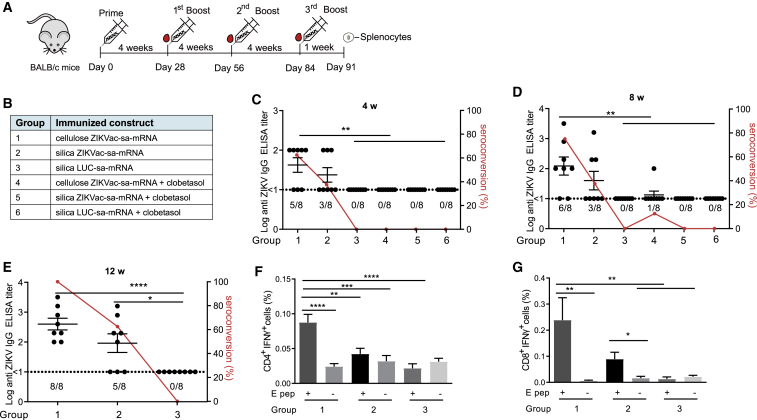 Figure 6