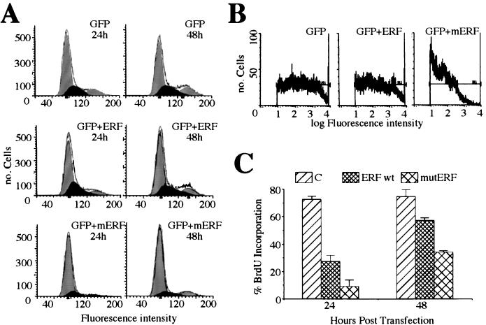 FIG. 6