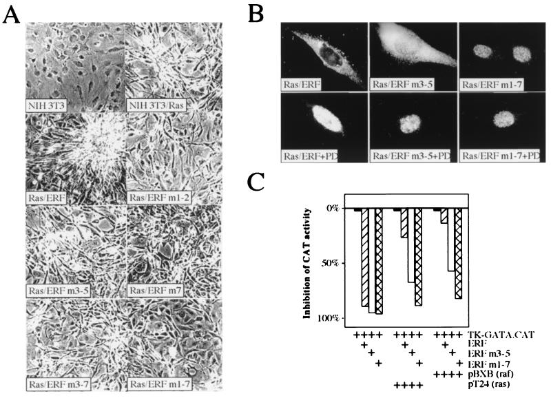 FIG. 7