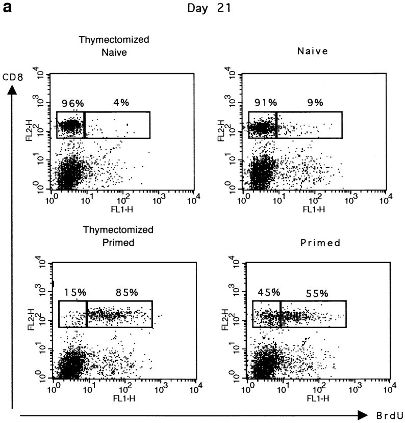 Resting Memory Cd8+ T Cells Are Hyperreactive To Antigenic Challenge In 