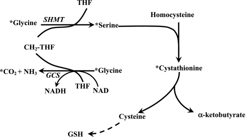 Fig. 1.