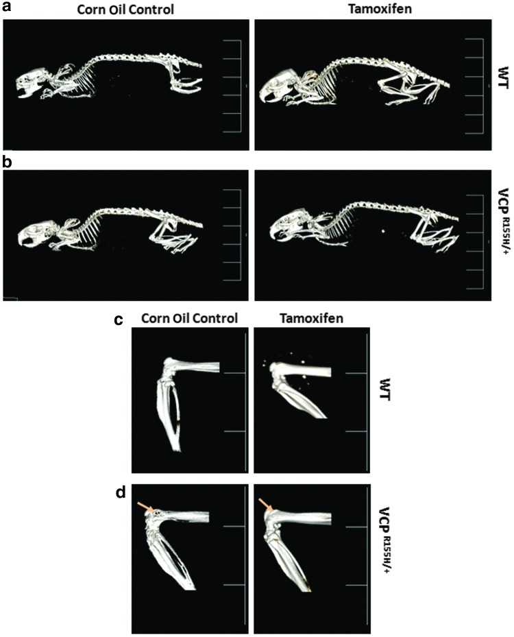 FIG. 7.