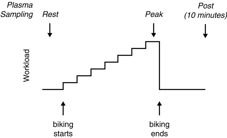 Fig. S1.