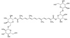 graphic file with name molecules-23-00259-i010.jpg