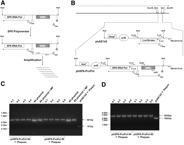 FIG 1 